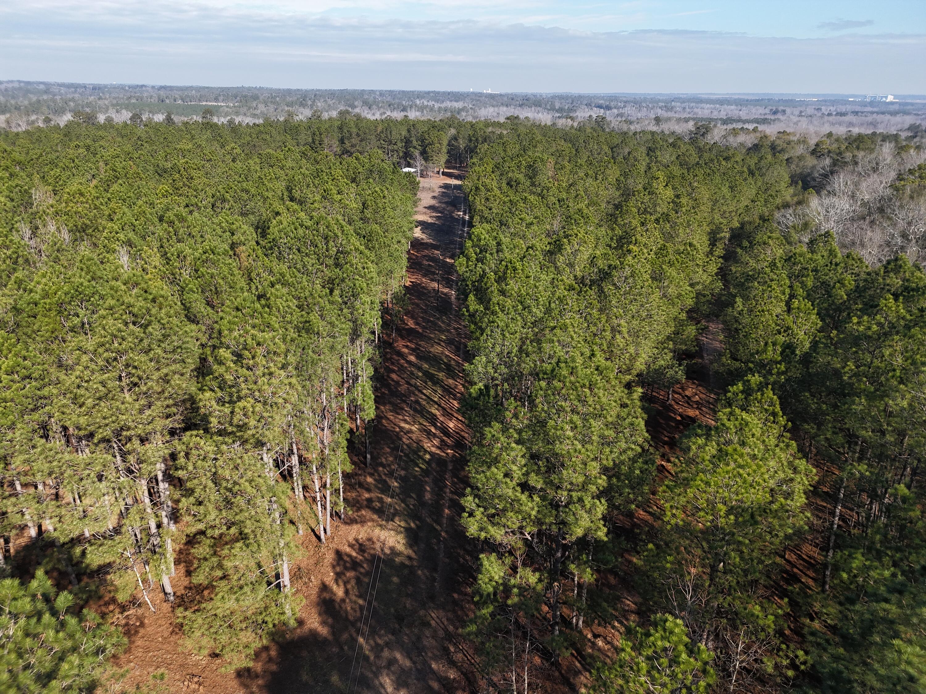 0 Ponderosa Road Waynesboro, GA 30830 - Photo 4 of 45 DJI_20260123002606_0032_D