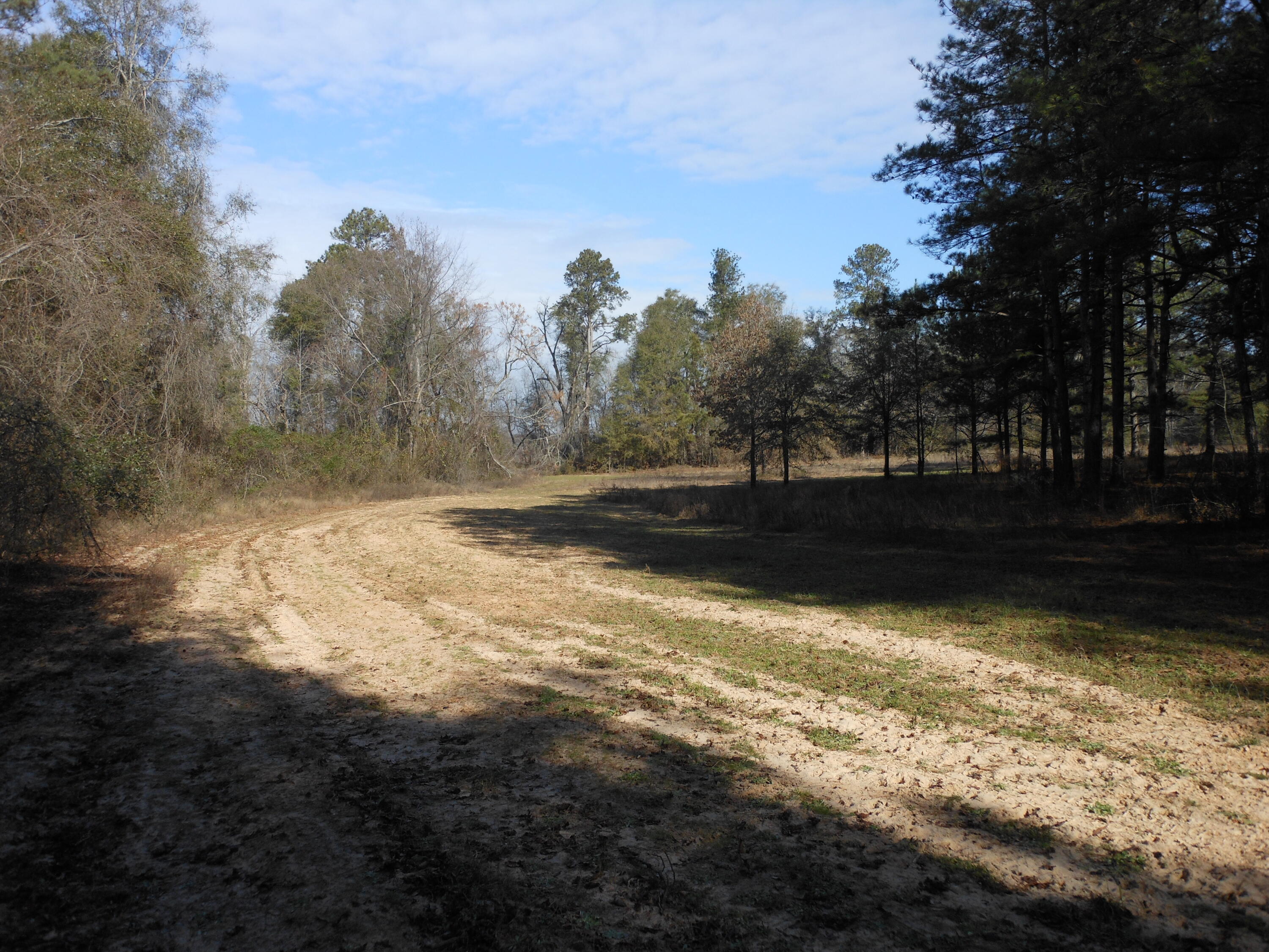 0 Ponderosa Road Waynesboro, GA 30830 - Photo 44 of 45 DSCN0475