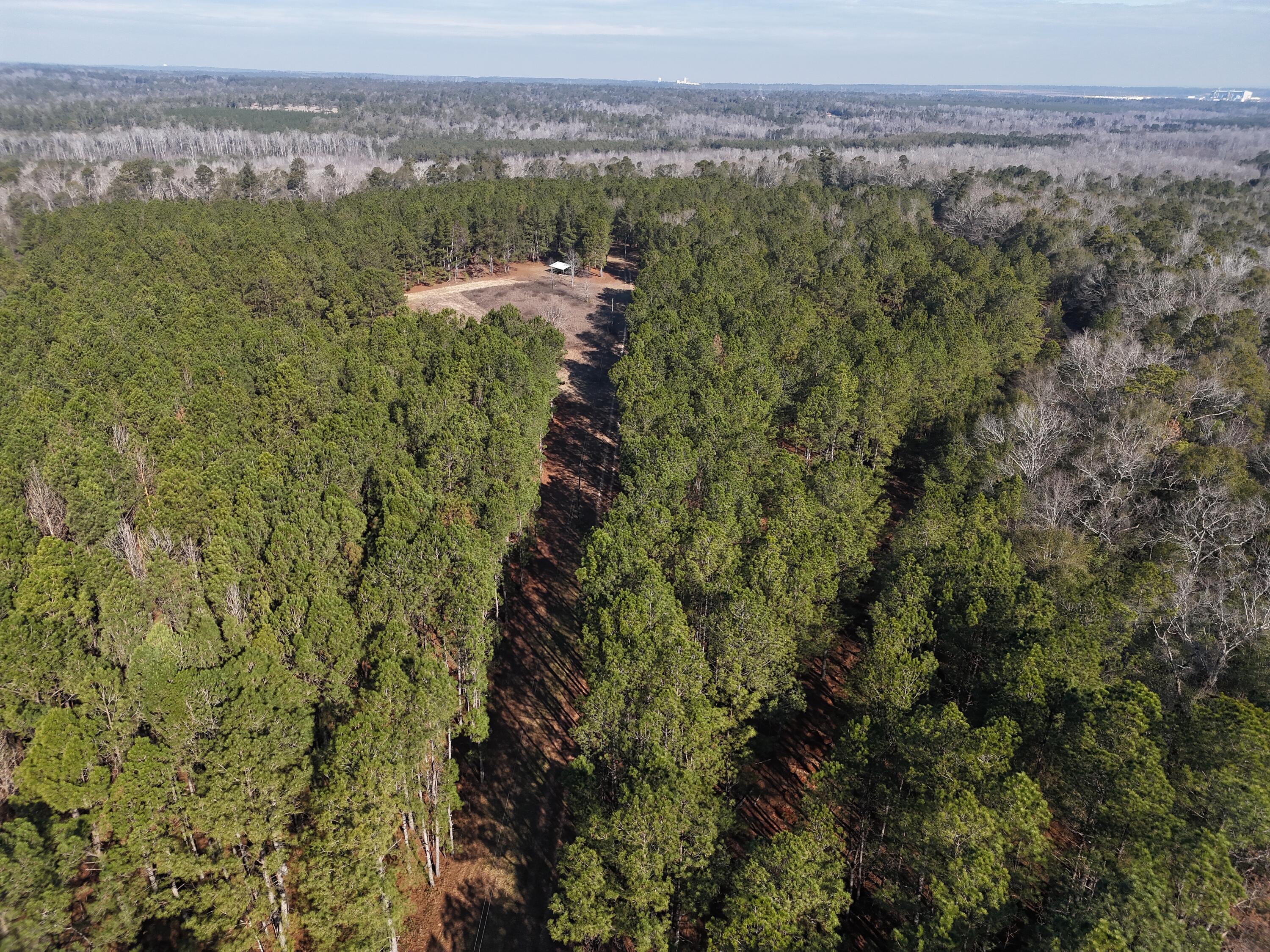 0 Ponderosa Road Waynesboro, GA 30830 - Photo 6 of 45 DJI_20260123002629_0034_D