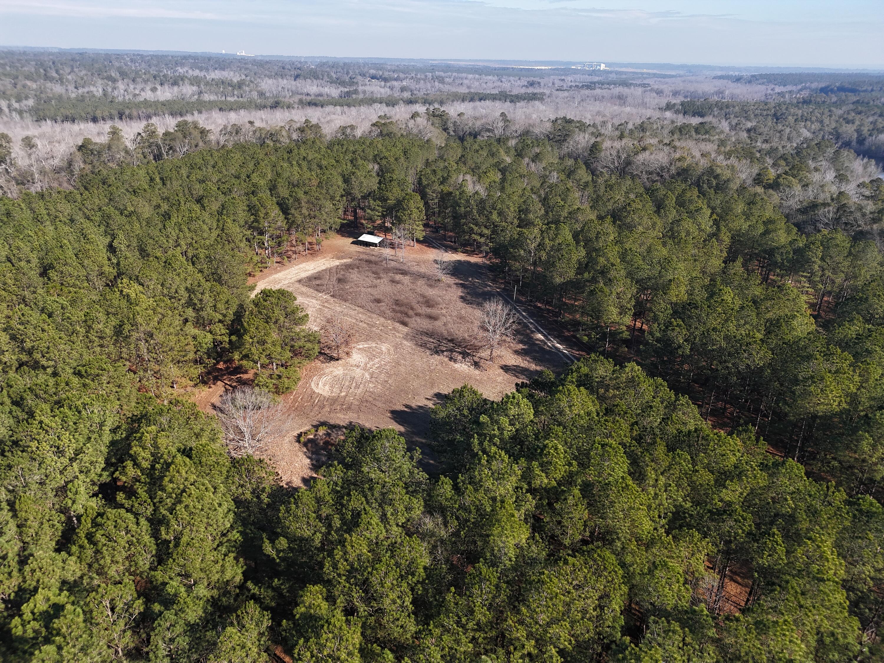 0 Ponderosa Road Waynesboro, GA 30830 - Photo 7 of 45 DJI_20260123002648_0035_D