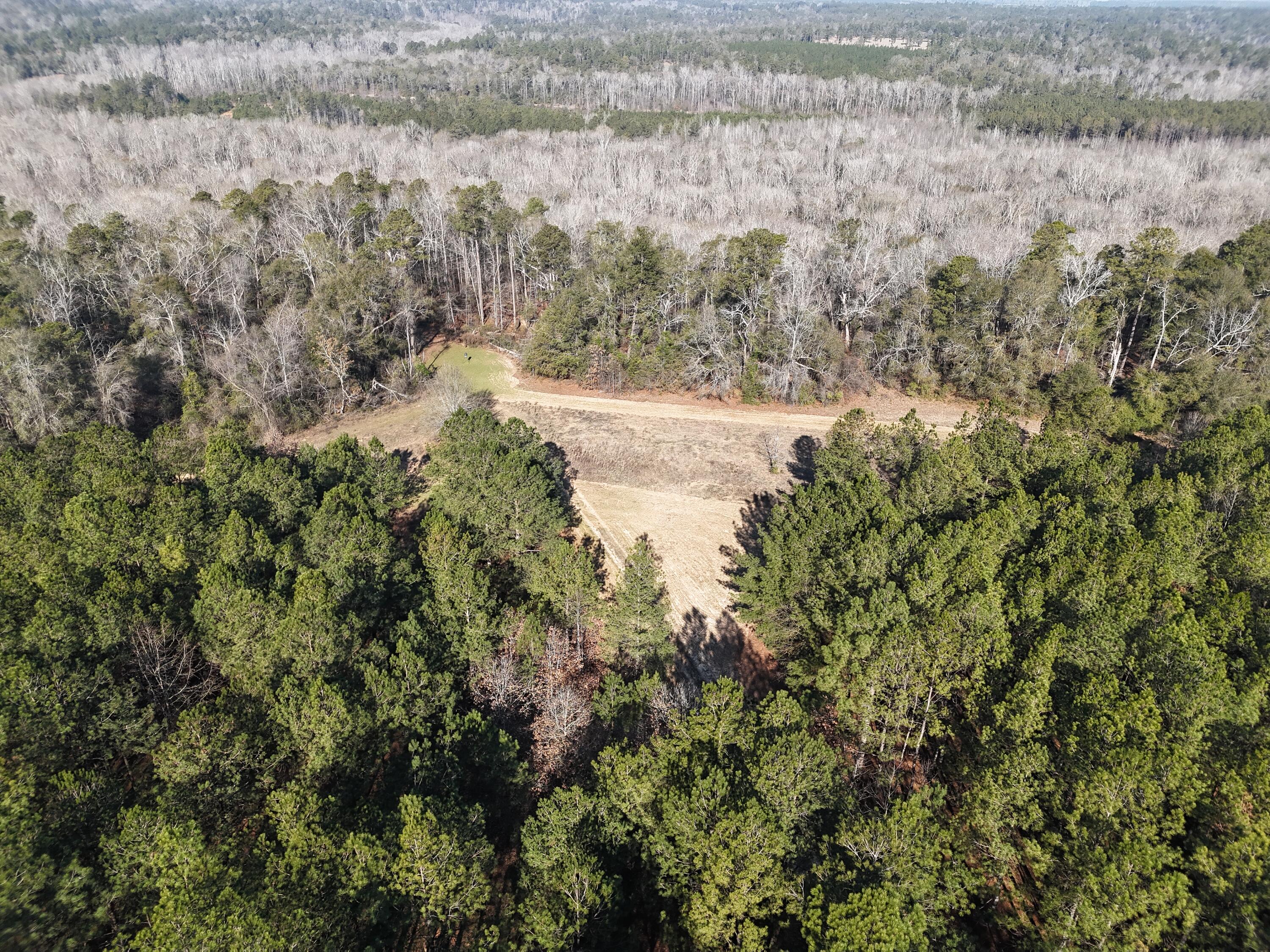 0 Ponderosa Road Waynesboro, GA 30830 - Photo 8 of 45 DJI_20260123002715_0036_D