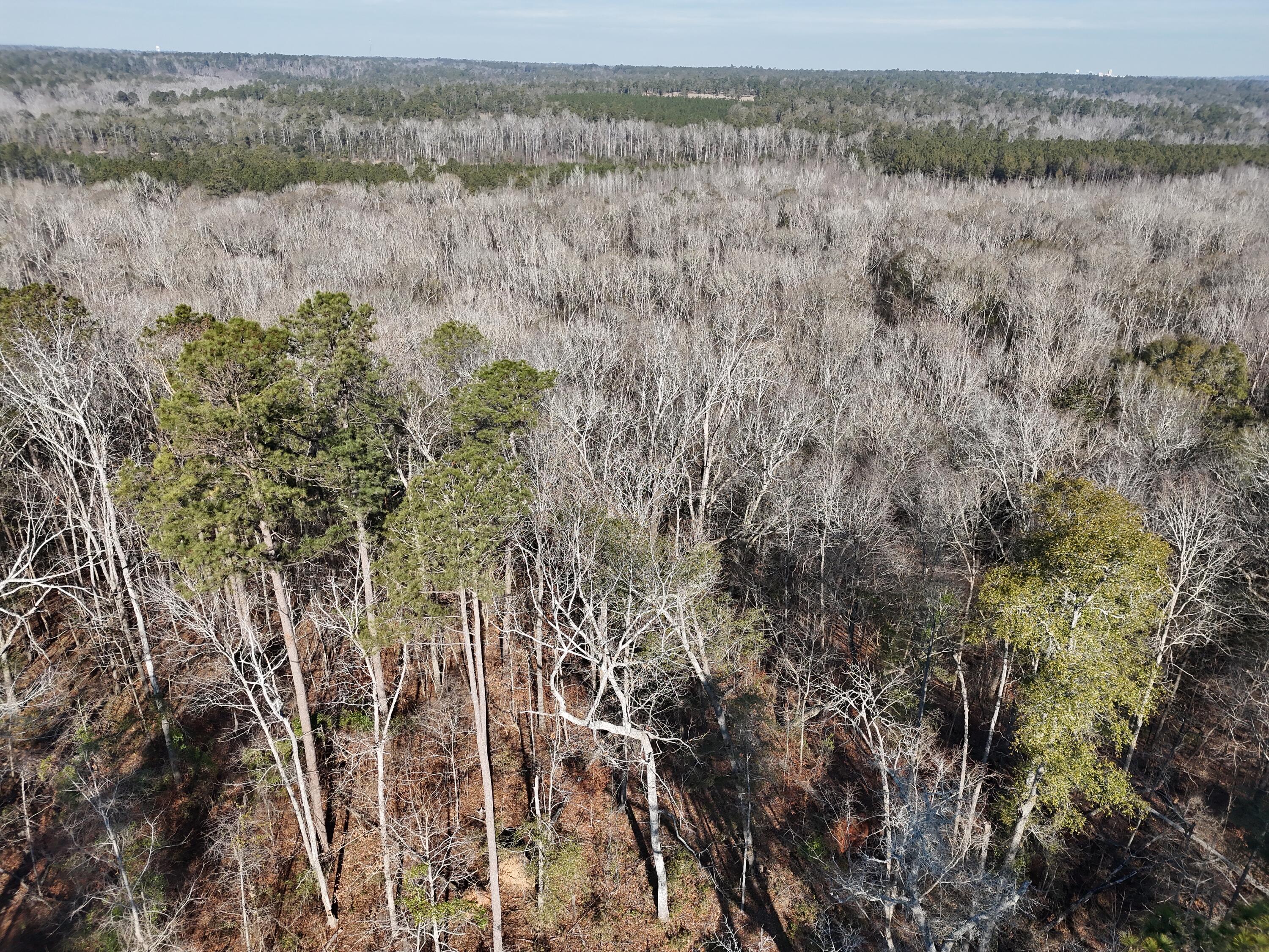 0 Ponderosa Road Waynesboro, GA 30830 - Photo 10 of 45 DJI_20260123002805_0040_D