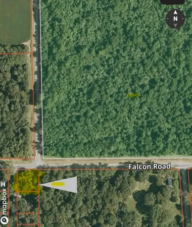 a view of a tree with a park