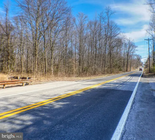 a view of swimming pool with large trees