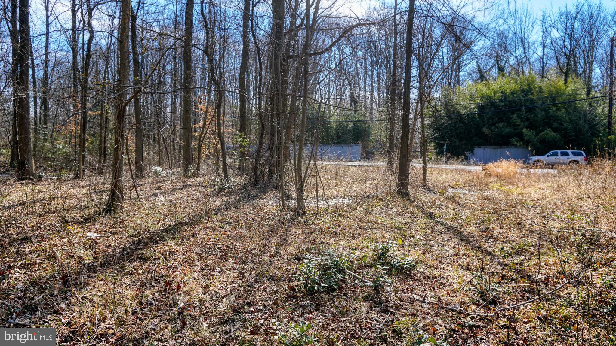 2431 Grubb Road Wilmington, DE 19810 - Photo 6 of 10 a view of a yard with trees