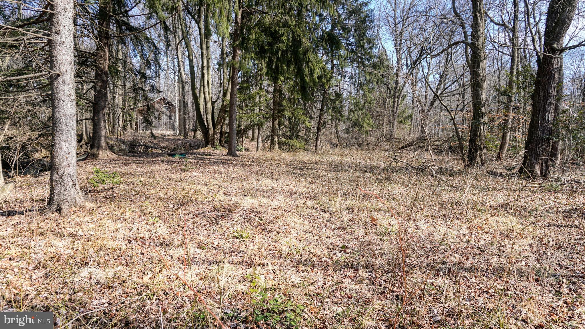 2431 Grubb Road Wilmington, DE 19810 - Photo 7 of 10 a view of a yard with large trees