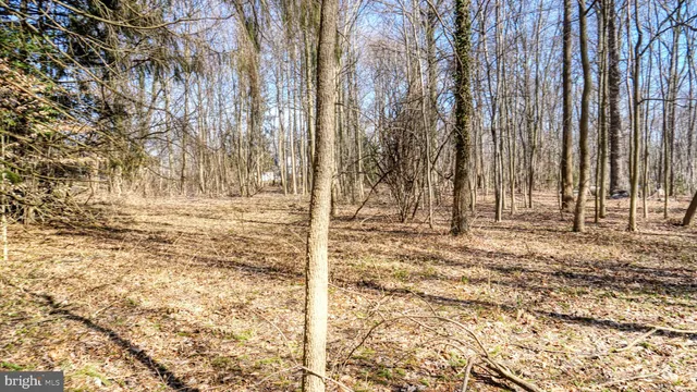 a view of outdoor space with trees
