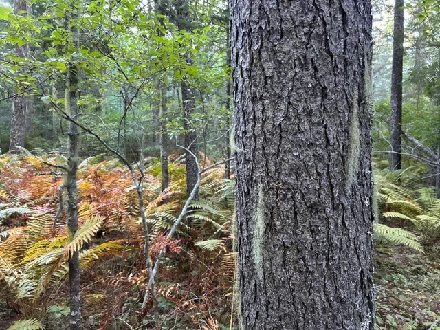 $59,500 | M6-l43 Biscay Road, Bremen, ME 04551