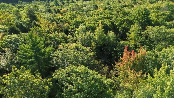 $45,000 | M6-l43 Biscay Road, Bremen, ME 04551