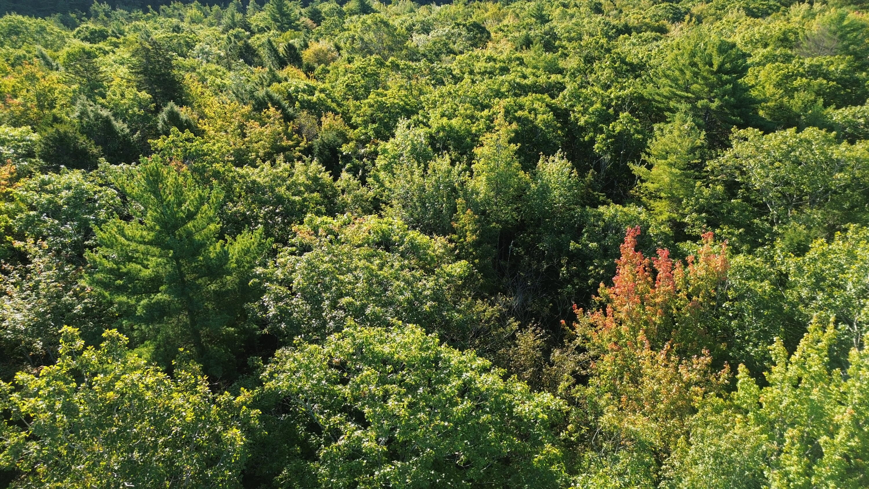 M6-l43 Biscay Road Bremen, ME 04551 - Photo 12 of 36 6