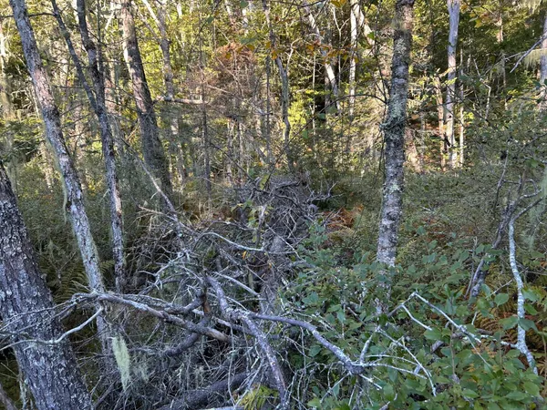 $45,000 | M6-l43 Biscay Road, Bremen, ME 04551