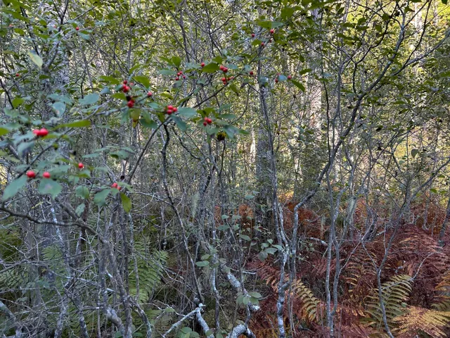 $59,500 | M6-l43 Biscay Road, Bremen, ME 04551