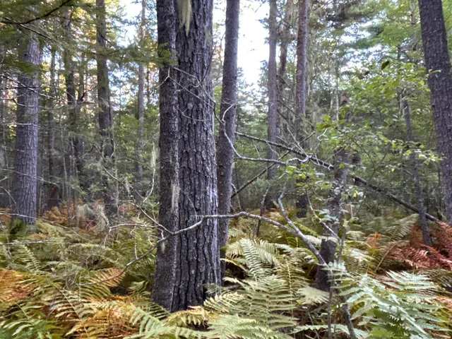 $59,500 | M6-l43 Biscay Road, Bremen, ME 04551