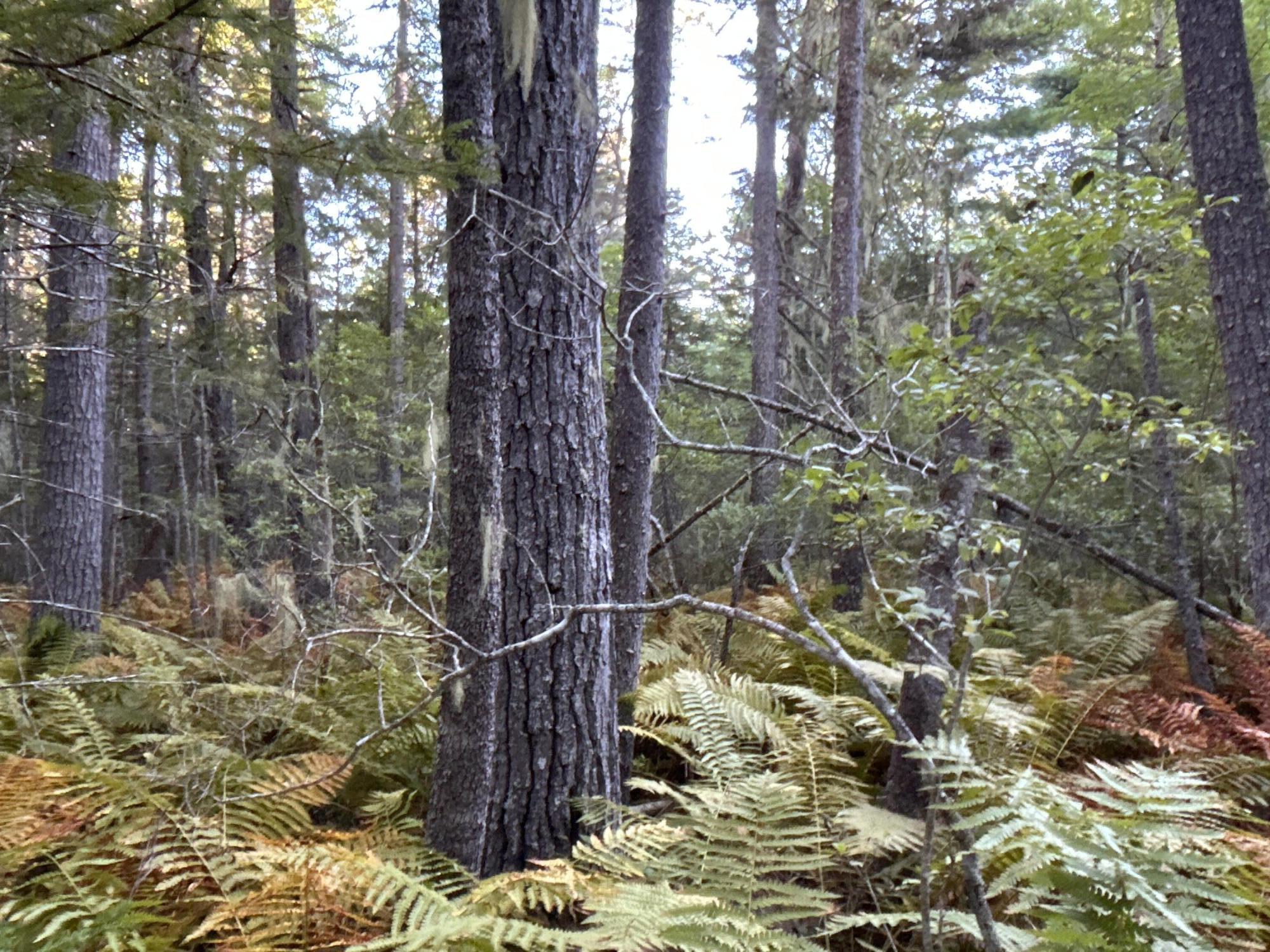 M6-l43 Biscay Road Bremen, ME 04551 - Photo 18 of 36 37