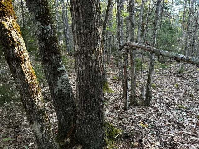 $59,500 | M6-l43 Biscay Road, Bremen, ME 04551