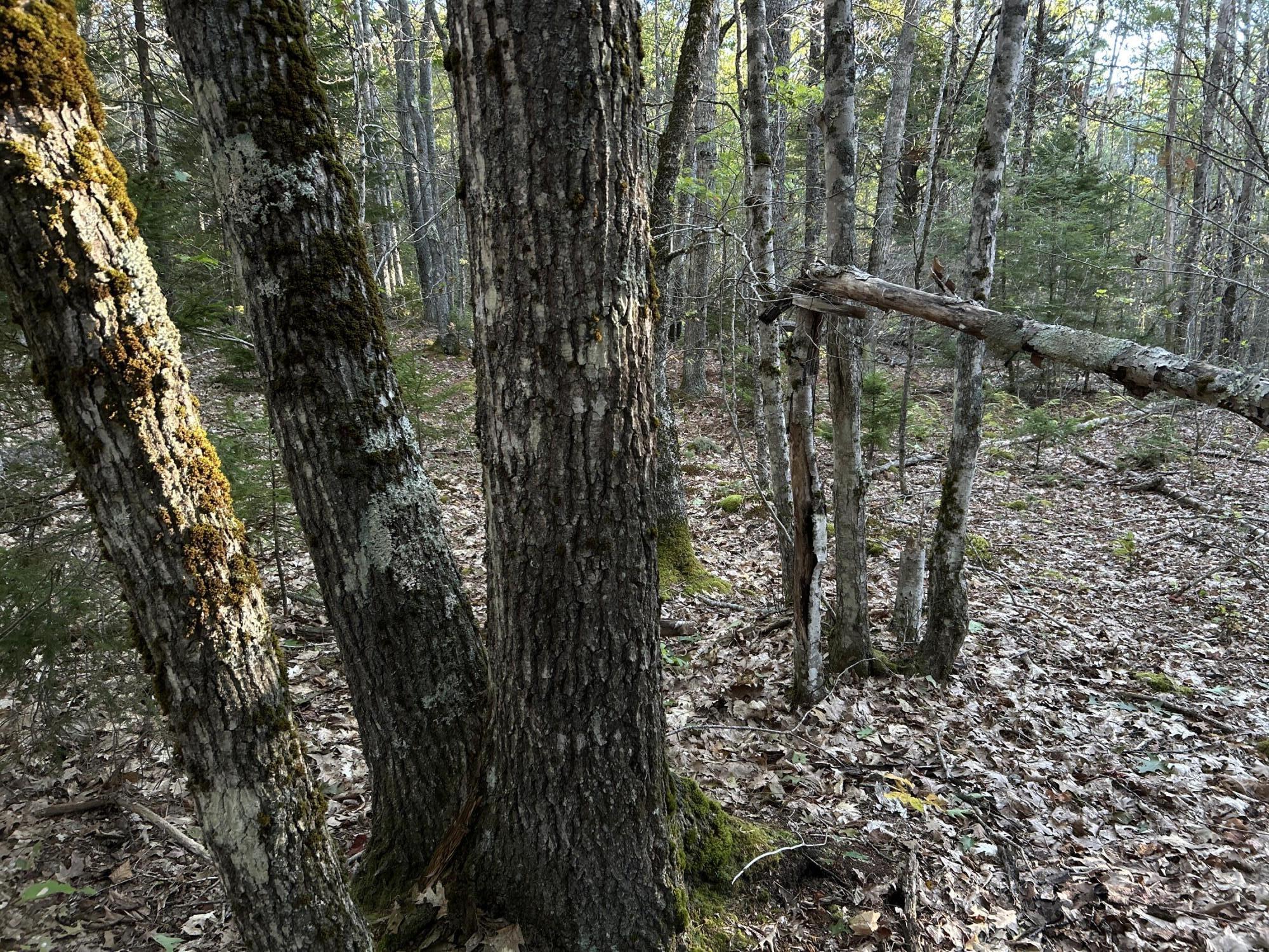 M6-l43 Biscay Road Bremen, ME 04551 - Photo 19 of 36 11