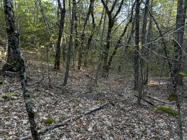 $45,000 | M6-l43 Biscay Road, Bremen, ME 04551