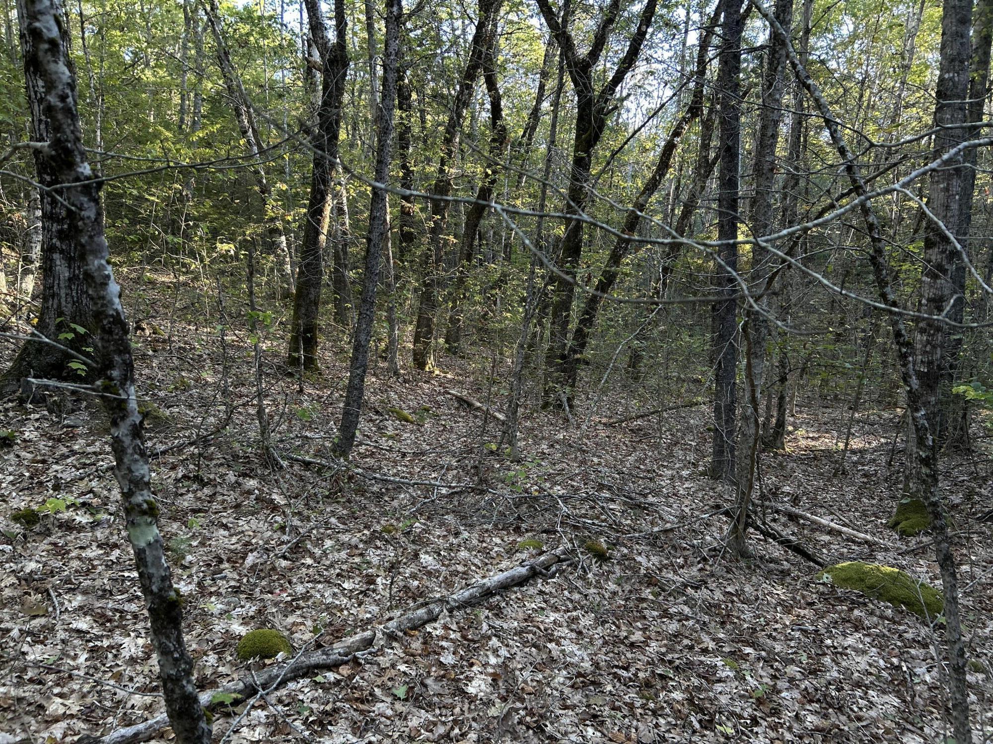 M6-l43 Biscay Road Bremen, ME 04551 - Photo 20 of 36 3