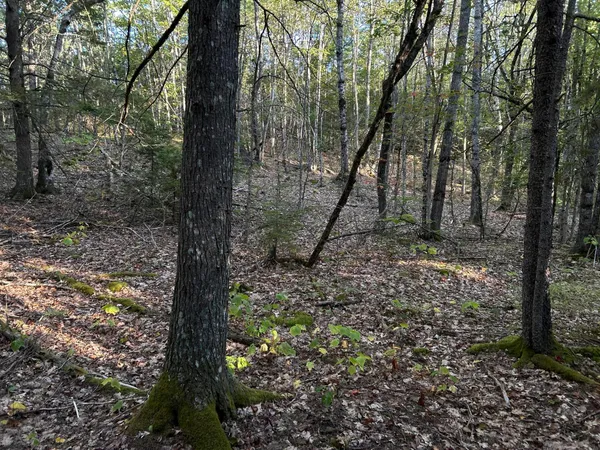 $45,000 | M6-l43 Biscay Road, Bremen, ME 04551