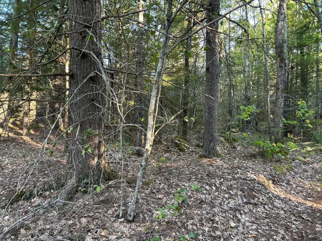 $59,500 | M6-l43 Biscay Road, Bremen, ME 04551