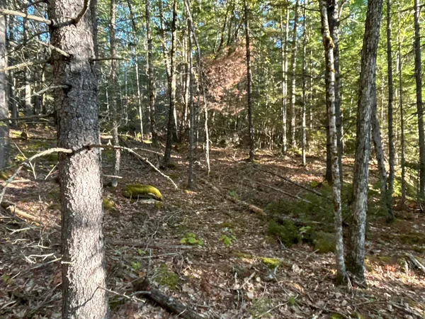 $45,000 | M6-l43 Biscay Road, Bremen, ME 04551