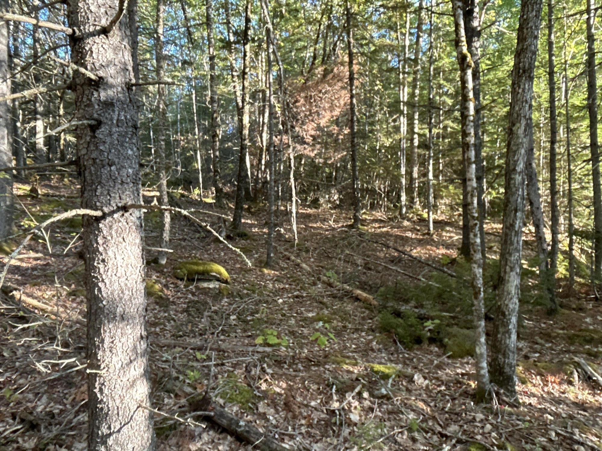 M6-l43 Biscay Road Bremen, ME 04551 - Photo 25 of 36 21