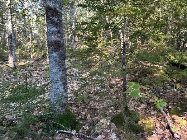 $45,000 | M6-l43 Biscay Road, Bremen, ME 04551