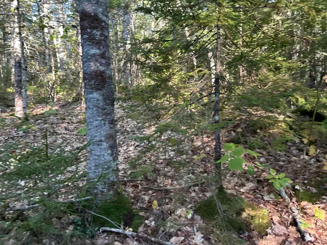 $59,500 | M6-l43 Biscay Road, Bremen, ME 04551