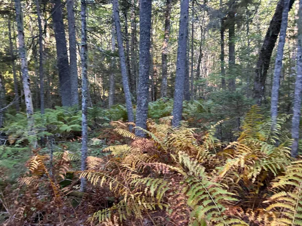 $45,000 | M6-l43 Biscay Road, Bremen, ME 04551