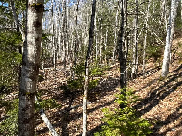 $45,000 | M6-l43 Biscay Road, Bremen, ME 04551