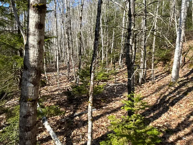 $59,500 | M6-l43 Biscay Road, Bremen, ME 04551