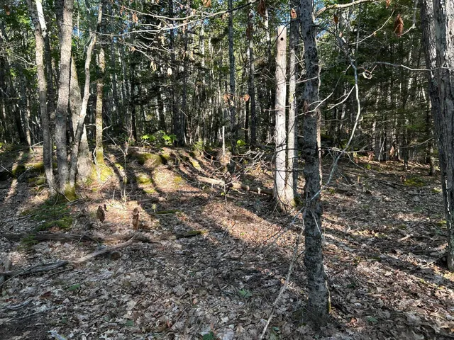 $59,500 | M6-l43 Biscay Road, Bremen, ME 04551