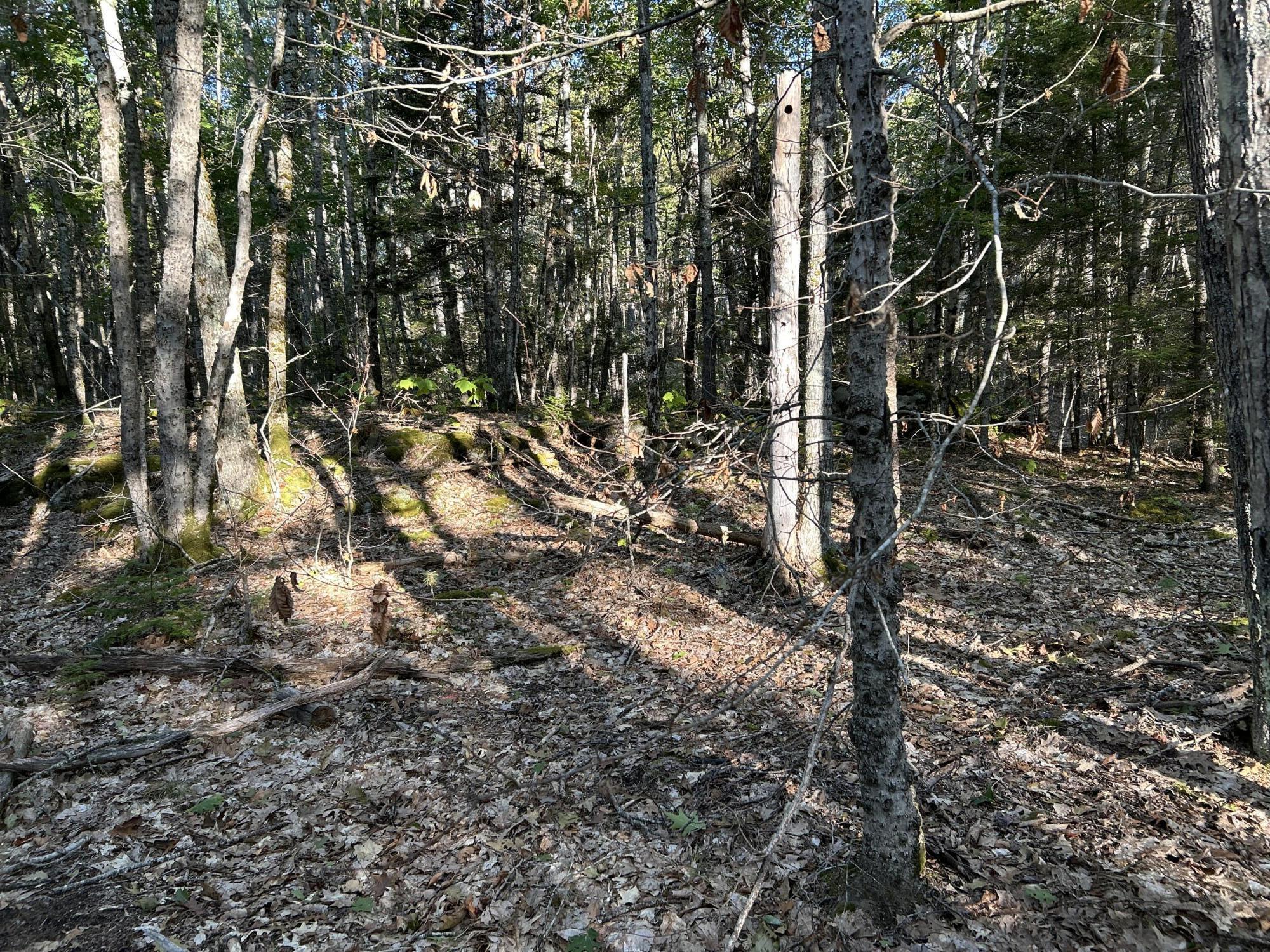 M6-l43 Biscay Road Bremen, ME 04551 - Photo 30 of 36 49