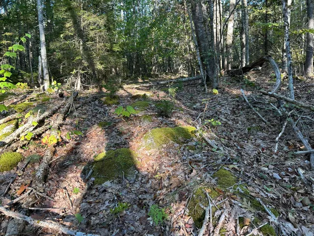 $59,500 | M6-l43 Biscay Road, Bremen, ME 04551