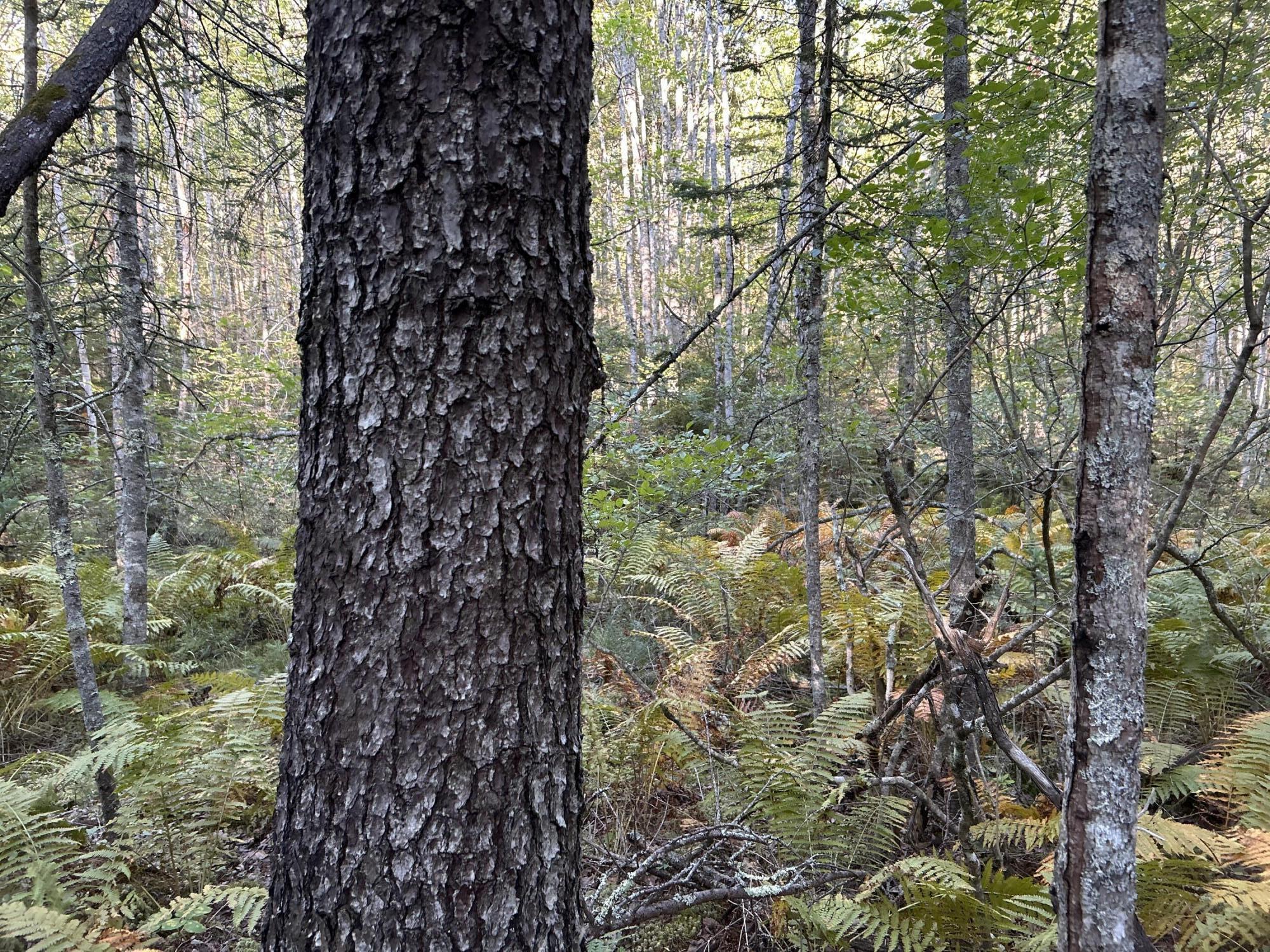 M6-l43 Biscay Road Bremen, ME 04551 - Photo 32 of 36 45