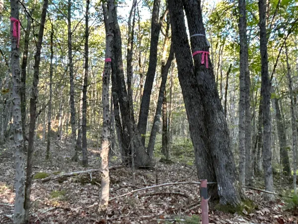 $45,000 | M6-l43 Biscay Road, Bremen, ME 04551