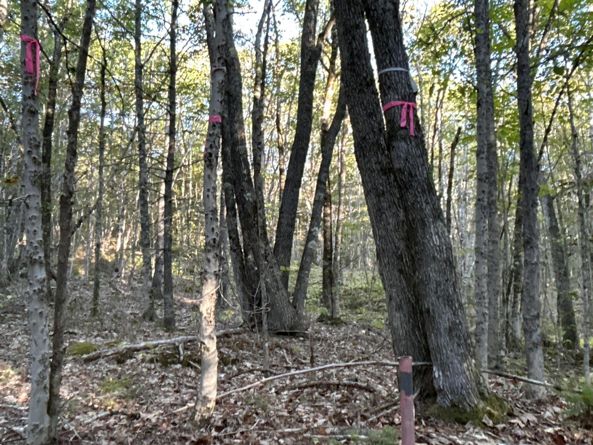 M6-l43 Biscay Road Bremen, ME 04551 - Photo 33 of 36 15