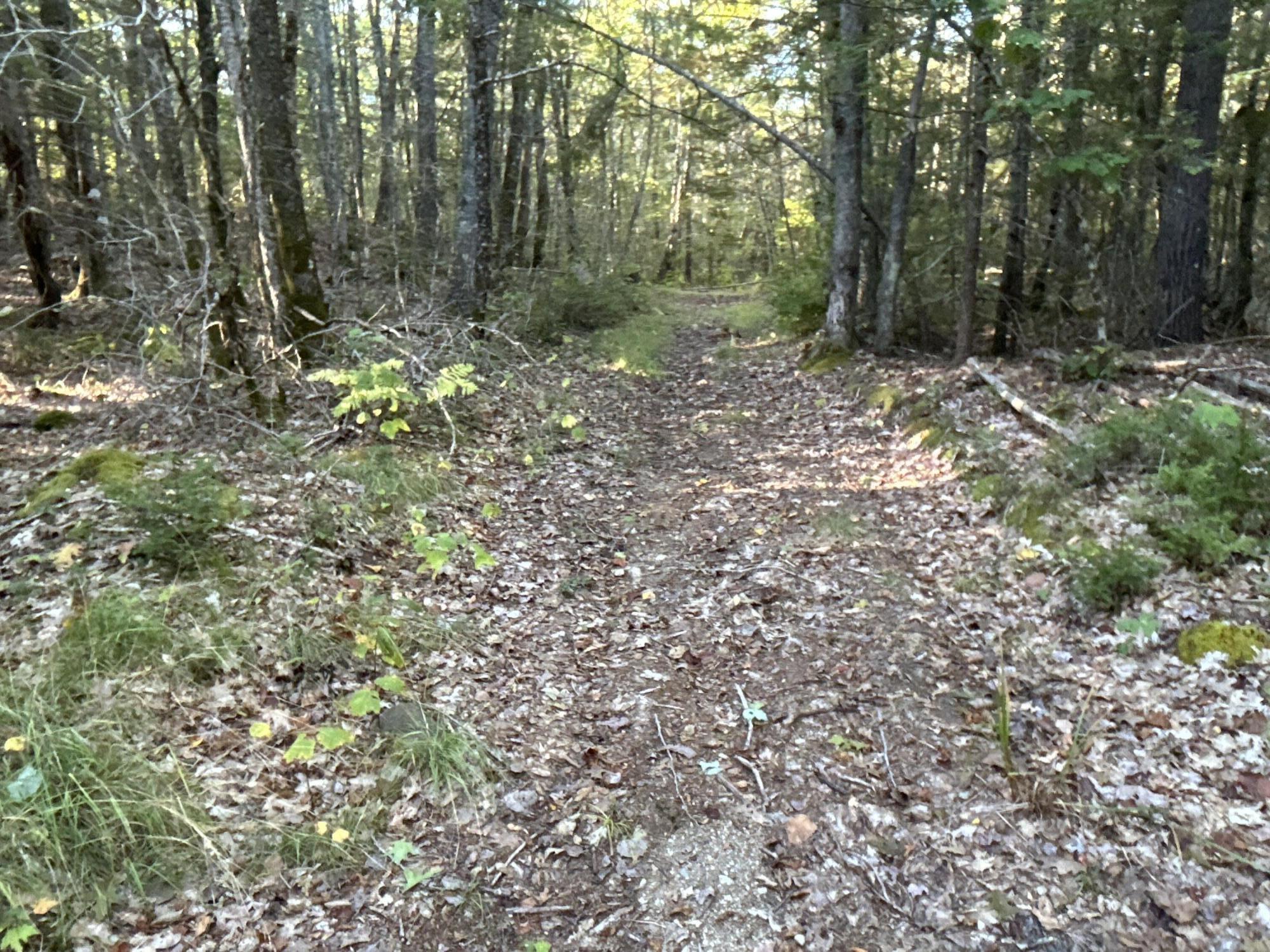 M6-l43 Biscay Road Bremen, ME 04551 - Photo 34 of 36 57