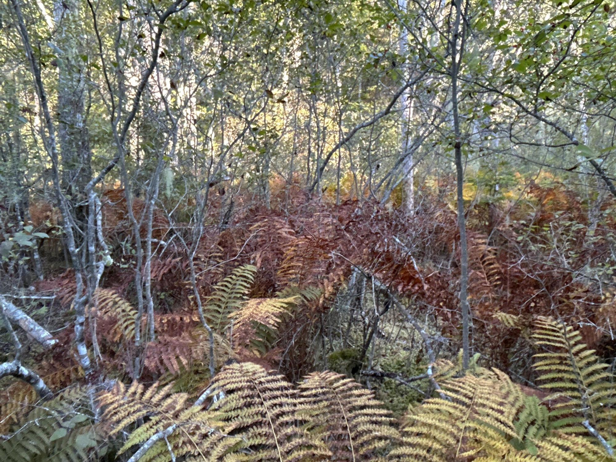 M6-l43 Biscay Road Bremen, ME 04551 - Photo 35 of 36 19