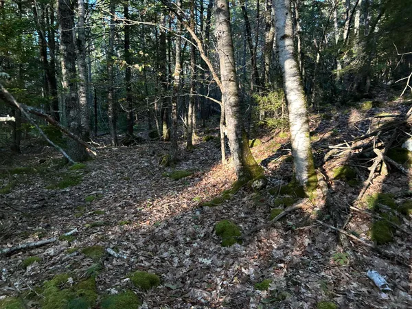 $45,000 | M6-l43 Biscay Road, Bremen, ME 04551