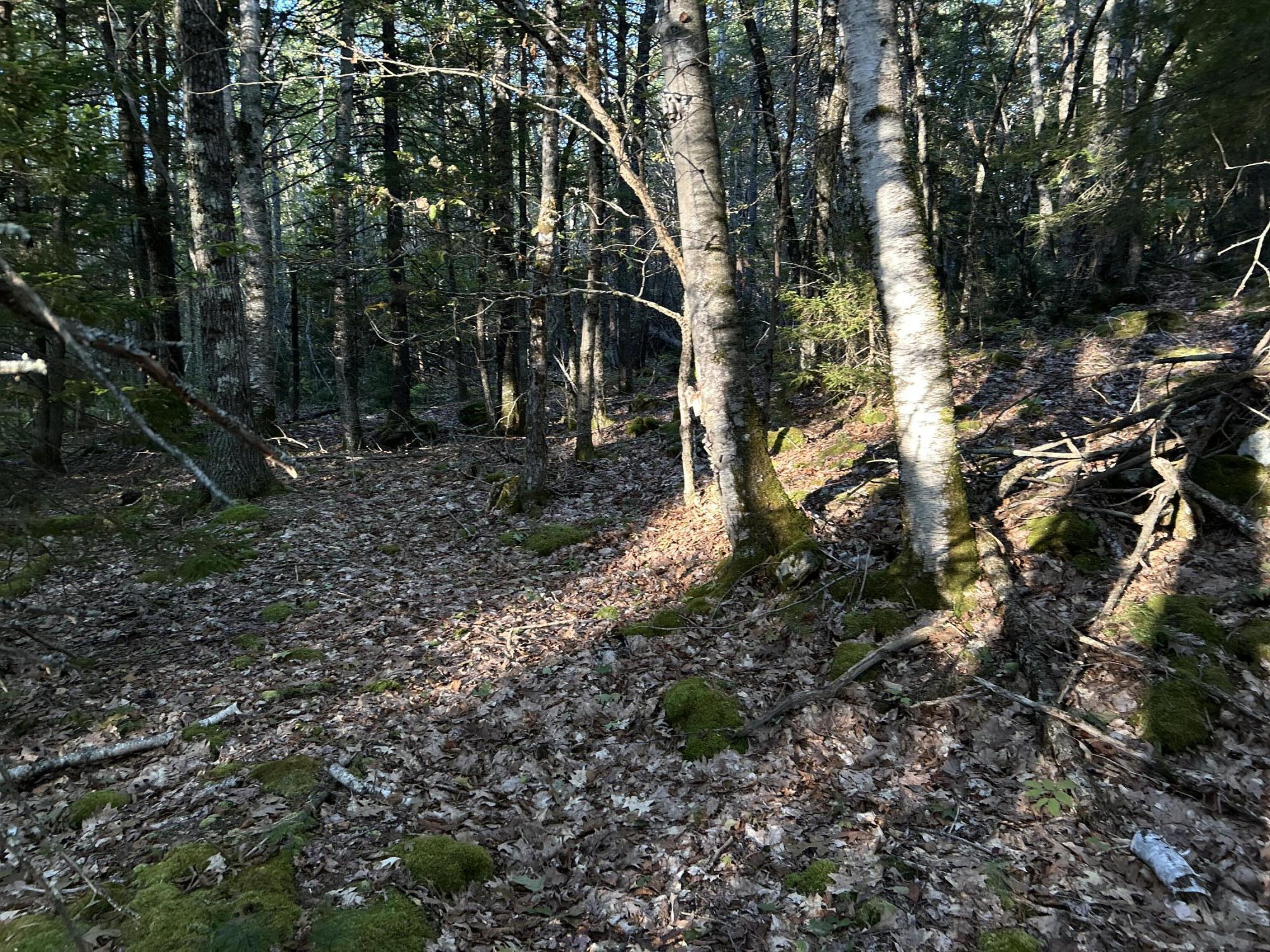 M6-l43 Biscay Road Bremen, ME 04551 - Photo 4 of 36 13