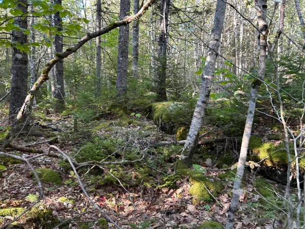 $45,000 | M6-l43 Biscay Road, Bremen, ME 04551