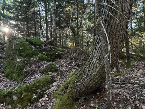 $45,000 | M6-l43 Biscay Road, Bremen, ME 04551