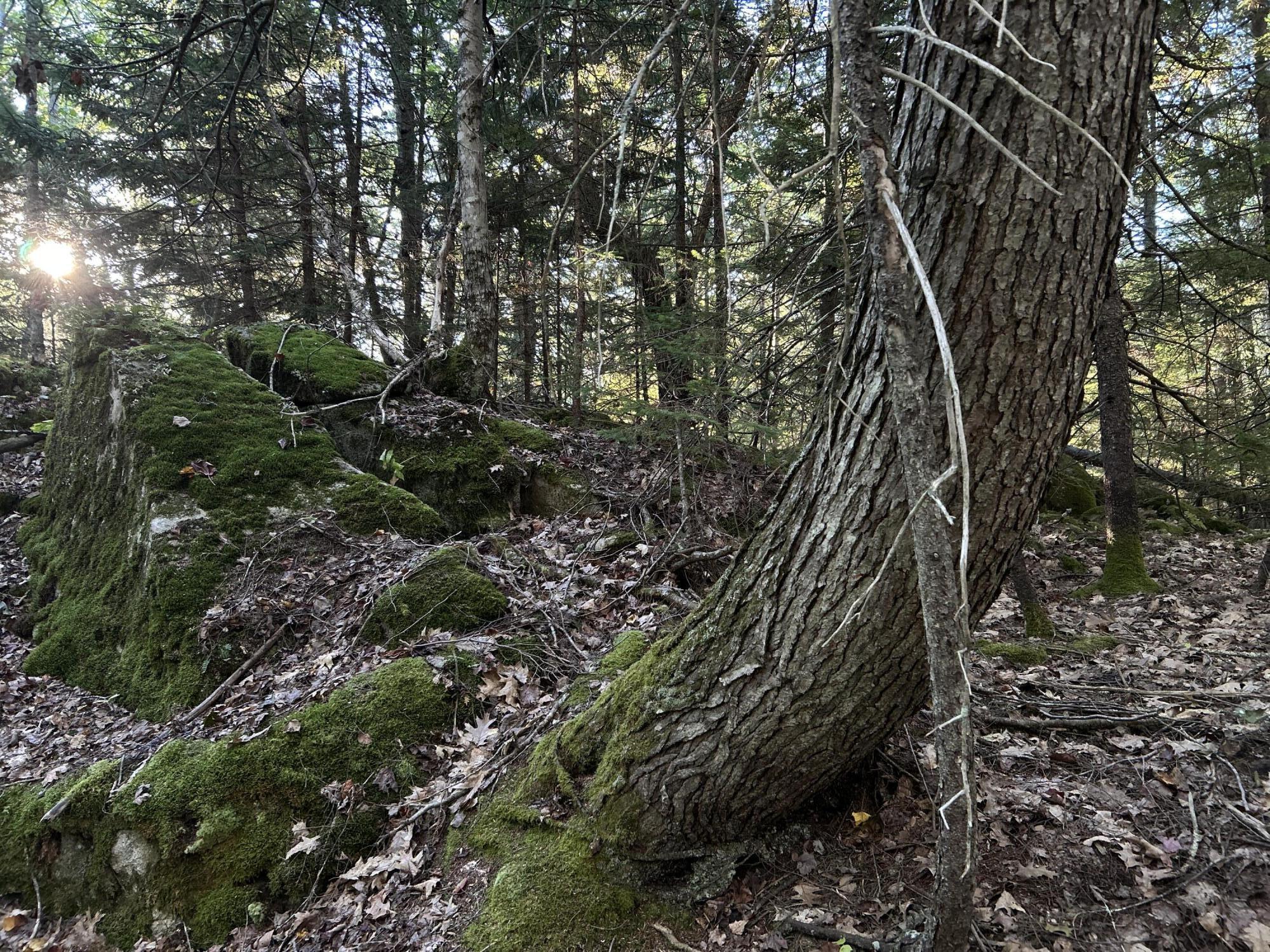 M6-l43 Biscay Road Bremen, ME 04551 - Photo 6 of 36 7