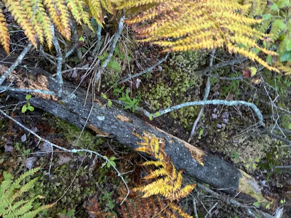 $45,000 | M6-l43 Biscay Road, Bremen, ME 04551