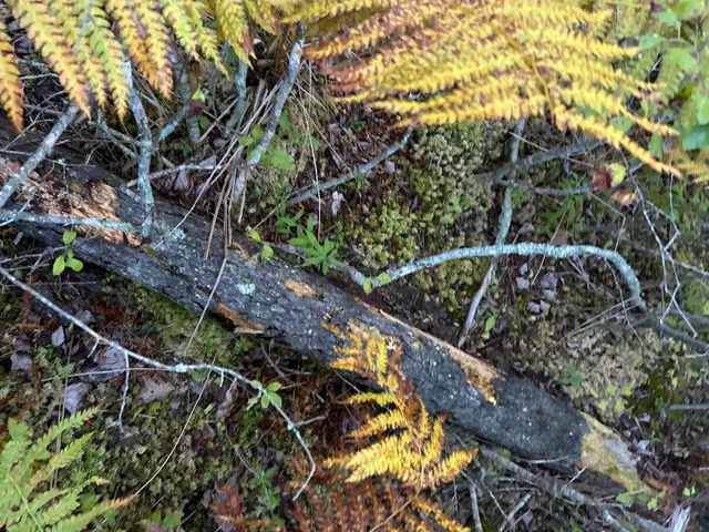 $59,500 | M6-l43 Biscay Road, Bremen, ME 04551