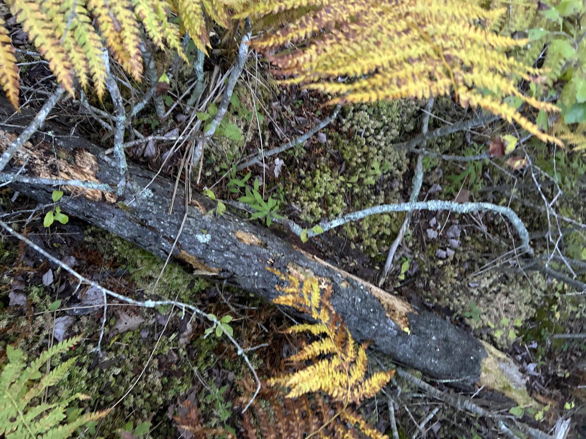 M6-l43 Biscay Road Bremen, ME 04551 - Photo 8 of 36 25