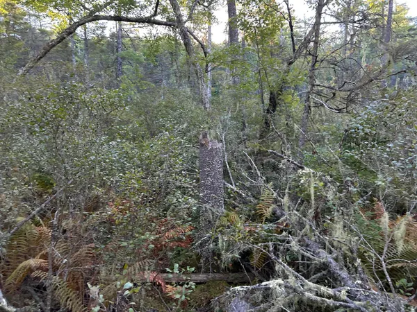 $45,000 | M6-l43 Biscay Road, Bremen, ME 04551