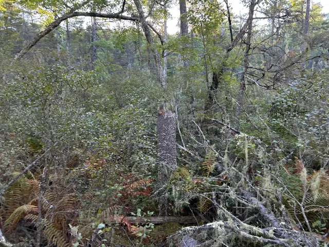 $59,500 | M6-l43 Biscay Road, Bremen, ME 04551