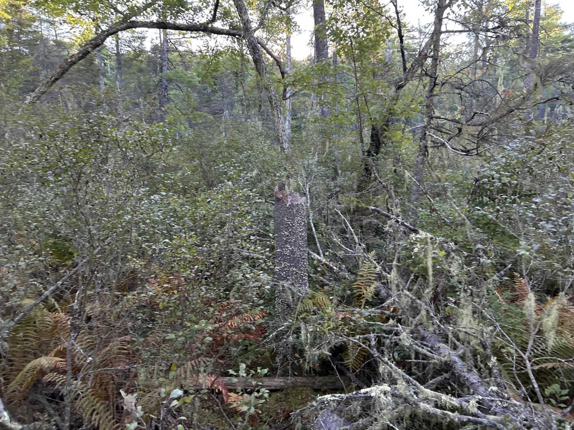 M6-l43 Biscay Road Bremen, ME 04551 - Photo 9 of 36 31